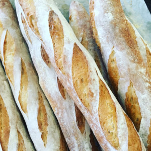 baguettes french bread camp topisaw food processor bread dough