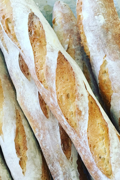 baguettes french bread camp topisaw food processor bread dough