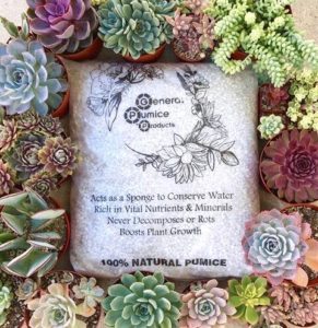 Succulent Soil Mix General Pumice Products