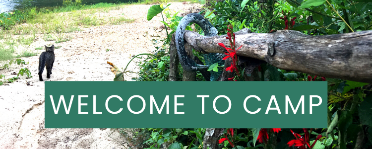 Camp Topisaw Our Story