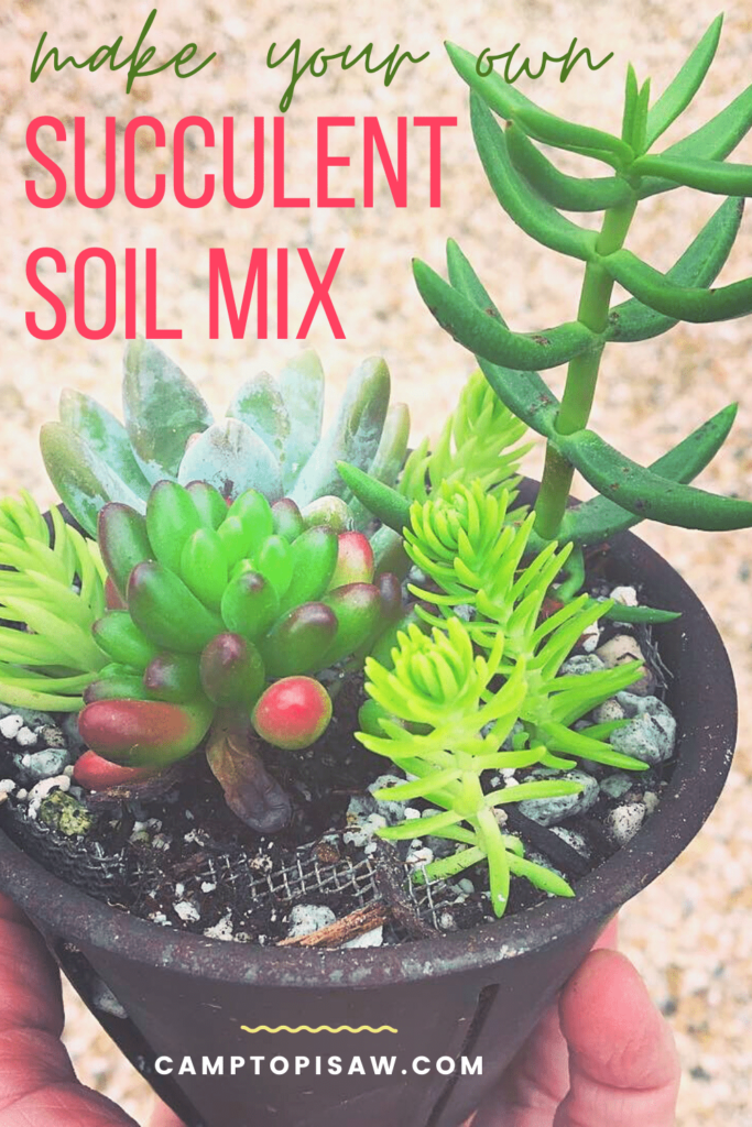 Succulent Soil Mix