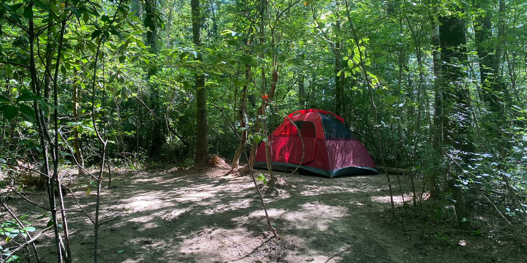 Welcome to Camp Topisaw Camp Sites
