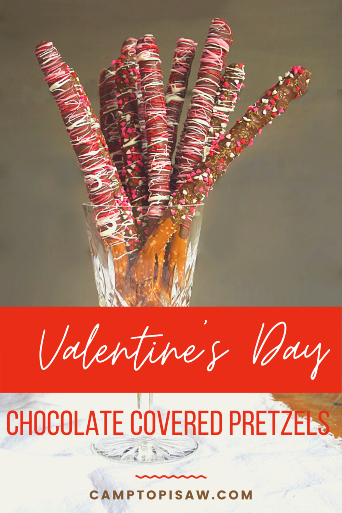 Chocolate Covered Pretzel Pin